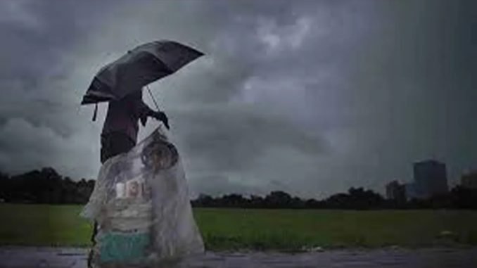 আগামী ৫ দিন কেমন থাকবে, জানাল আবহাওয়া অফিস